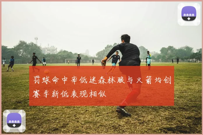 罚球命中率低迷森林狼与火箭均创赛季新低表现相似